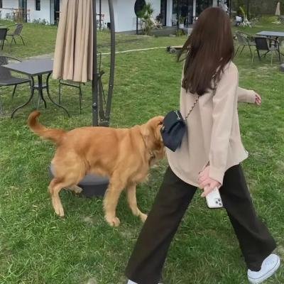哈啰你好喵
